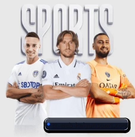 开云 APP 界面(kaiyun sports)